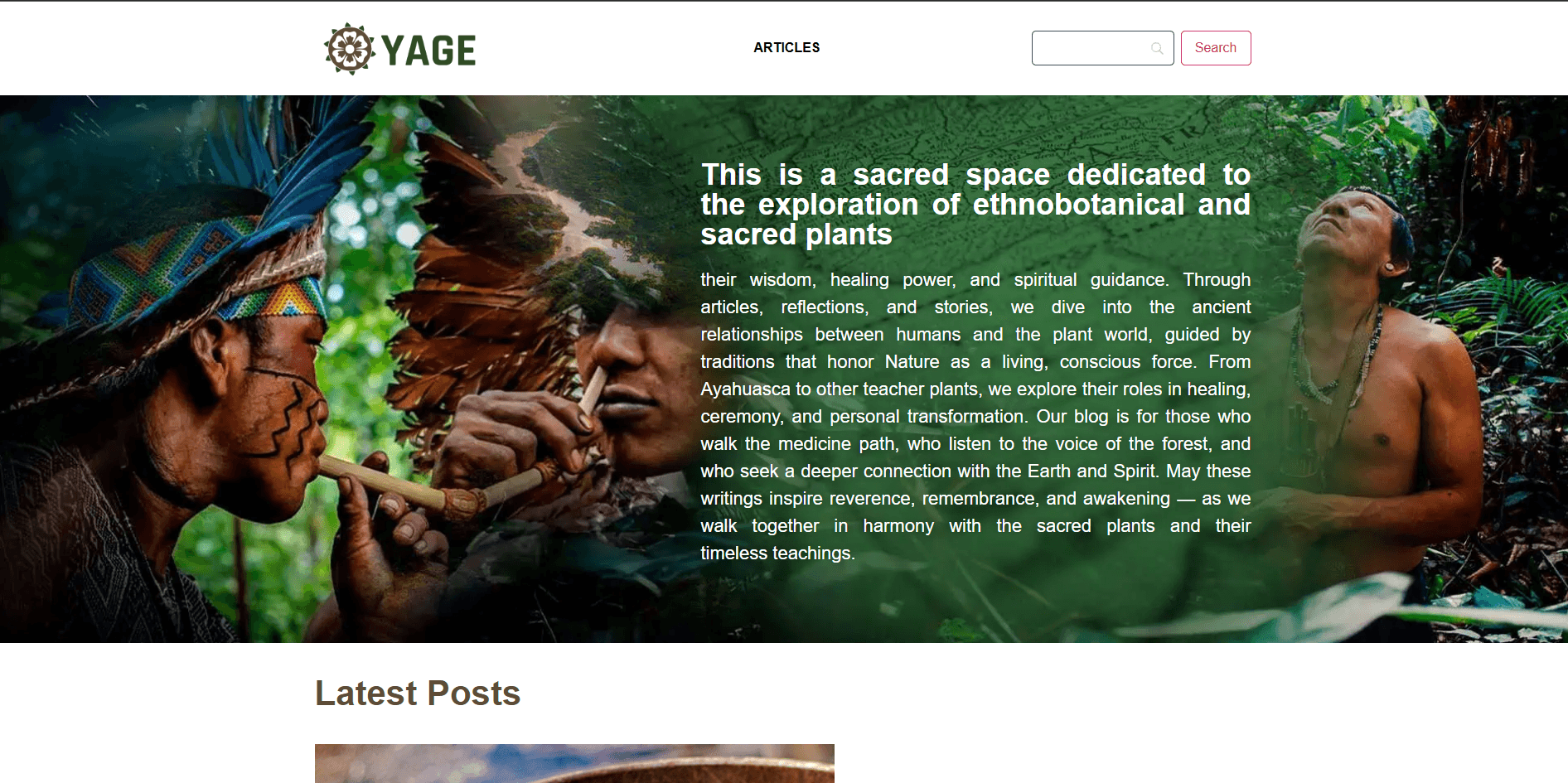 Projeto YAGE Exploration